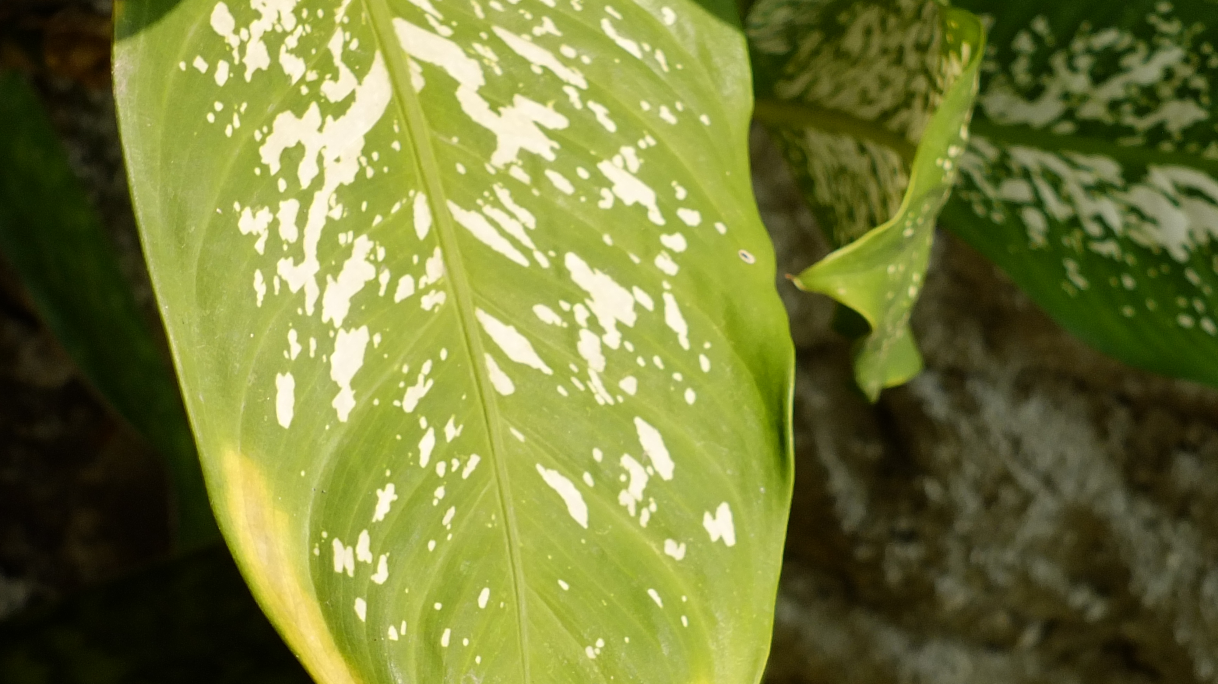 MANAJEMEN PENGELOLAAN STRESS PADA ANAK USIA MUDA - (Ada 0 foto)